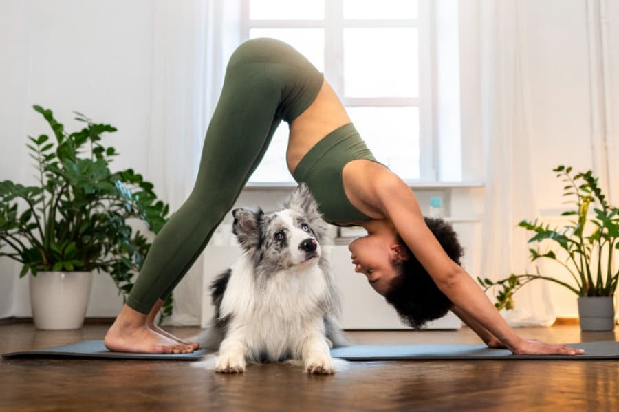 2026-07-28-puppy-joga-woman-doing-yoga-accompanied-by-their-pet.jpg